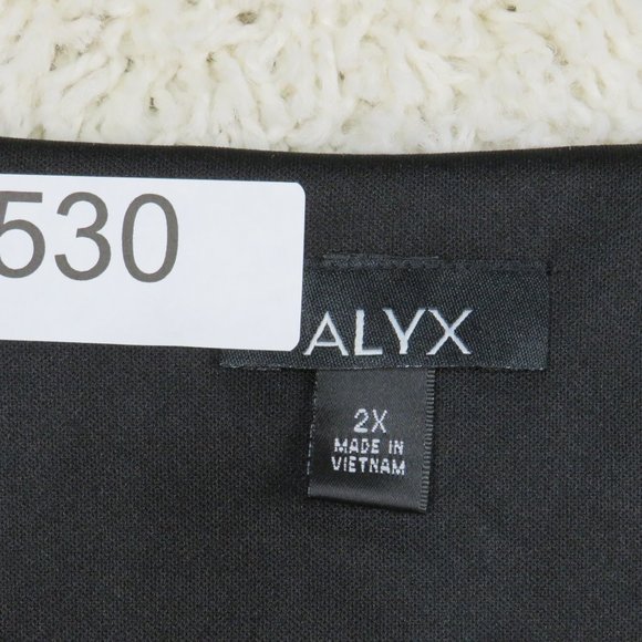 Alyx* Women's Ruffled‎ 3/4 Sleeve Crew Neck Curved Hem Pullover Blouse Size~ 2X - Picture 4 of 12